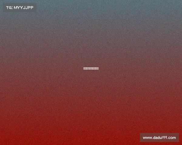 大话电子商务有限公司